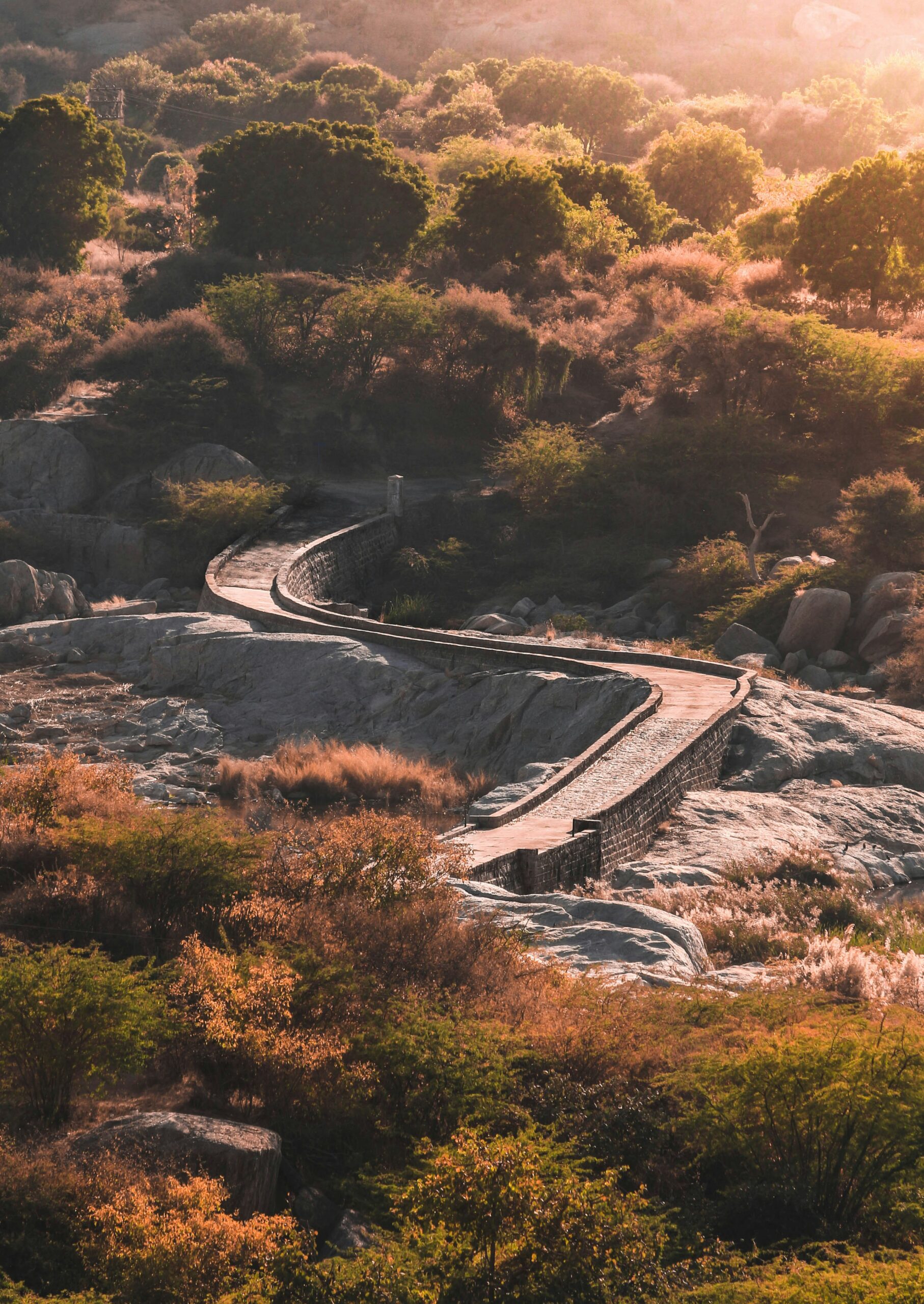Jawai Leopard Safari Tour with Ghoomar Holidays