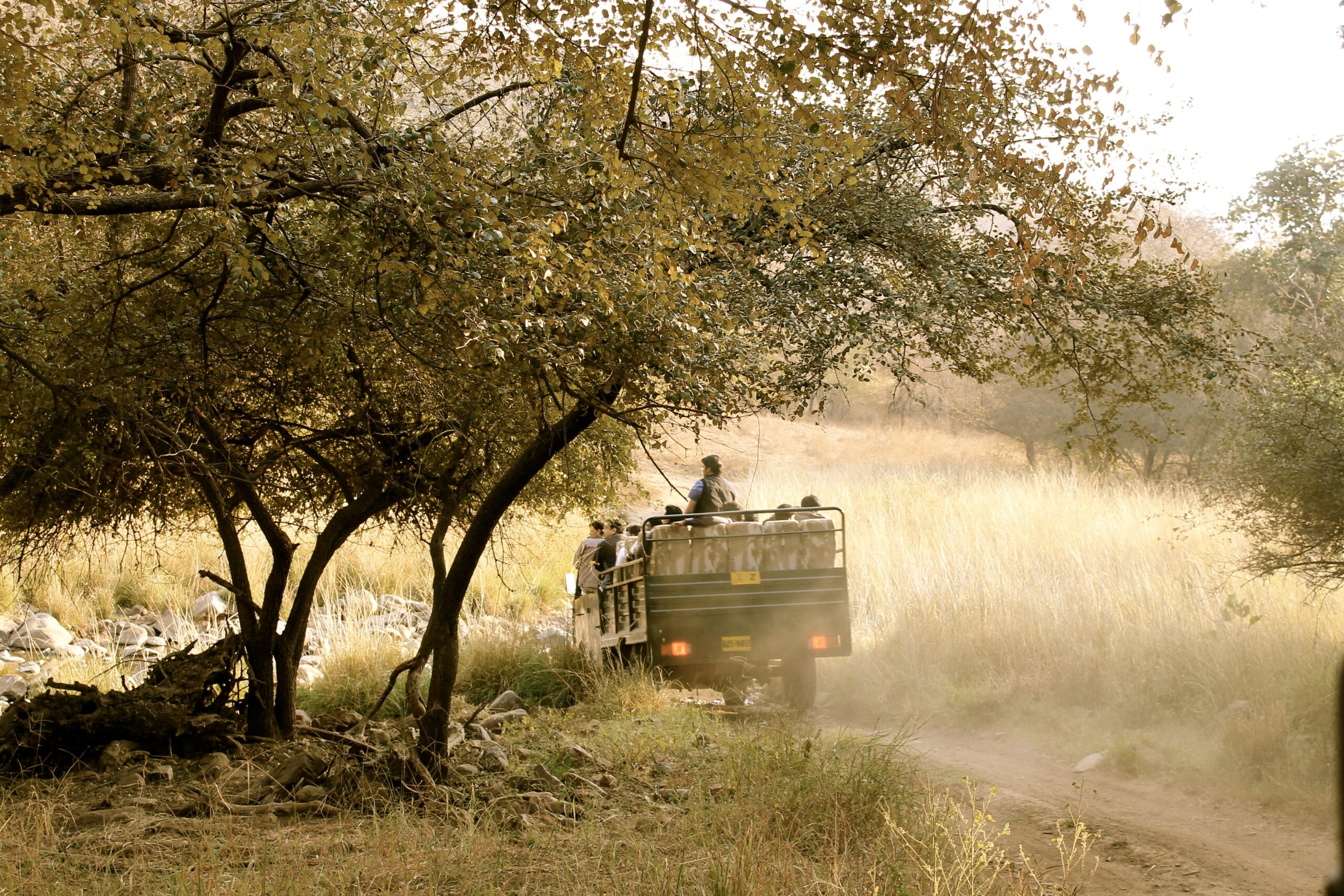 Ranthambore National Park Safari Package